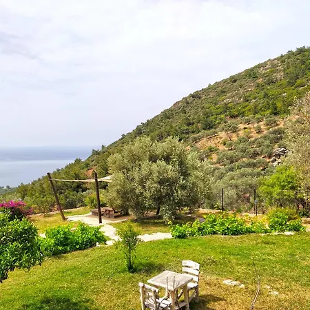 Hotel Zephyros Mesudiye (Datca)