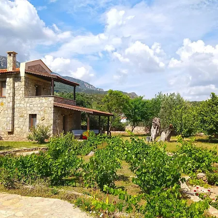 Zephyros Mesudiye (Datca)