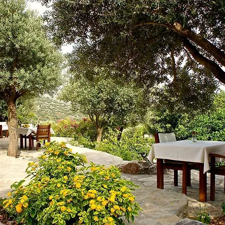 Hotel Zephyros 3*