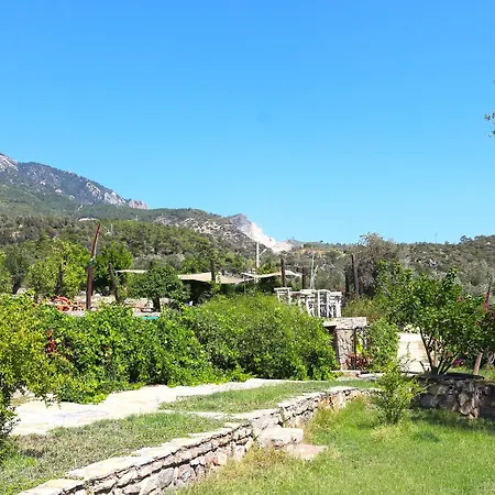 Zephyros Mesudiye (Datca)