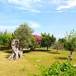 מלון Zephyros Mesudiye (Datca)