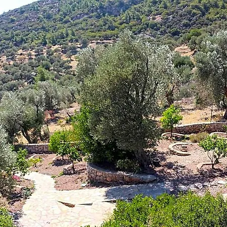 Hotel Zephyros Mesudiye (Datca)