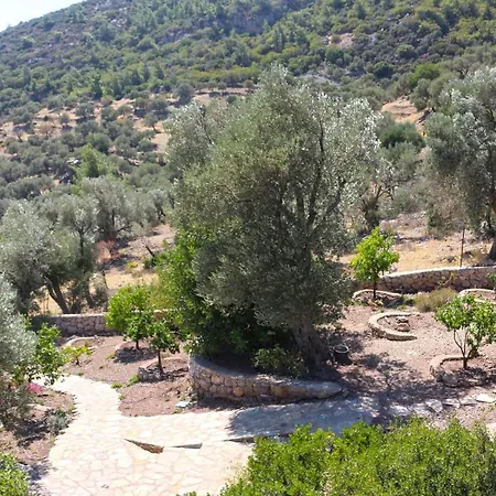 Zephyros Mesudiye (Datca)